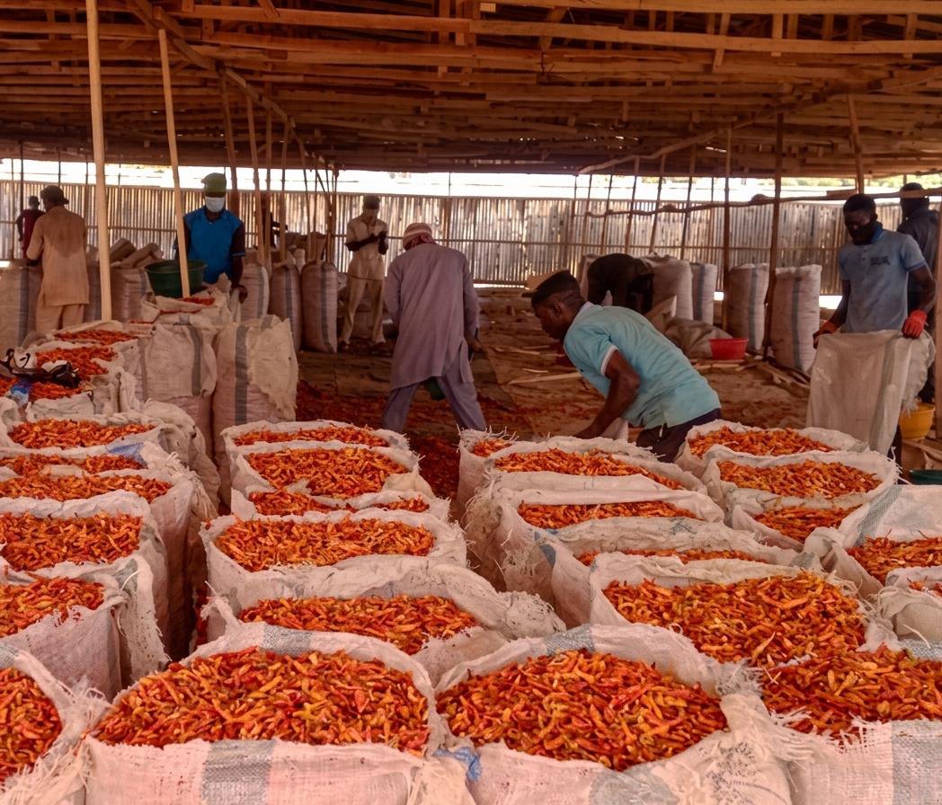 Bags of dried chilli at the Goodearth warehouse