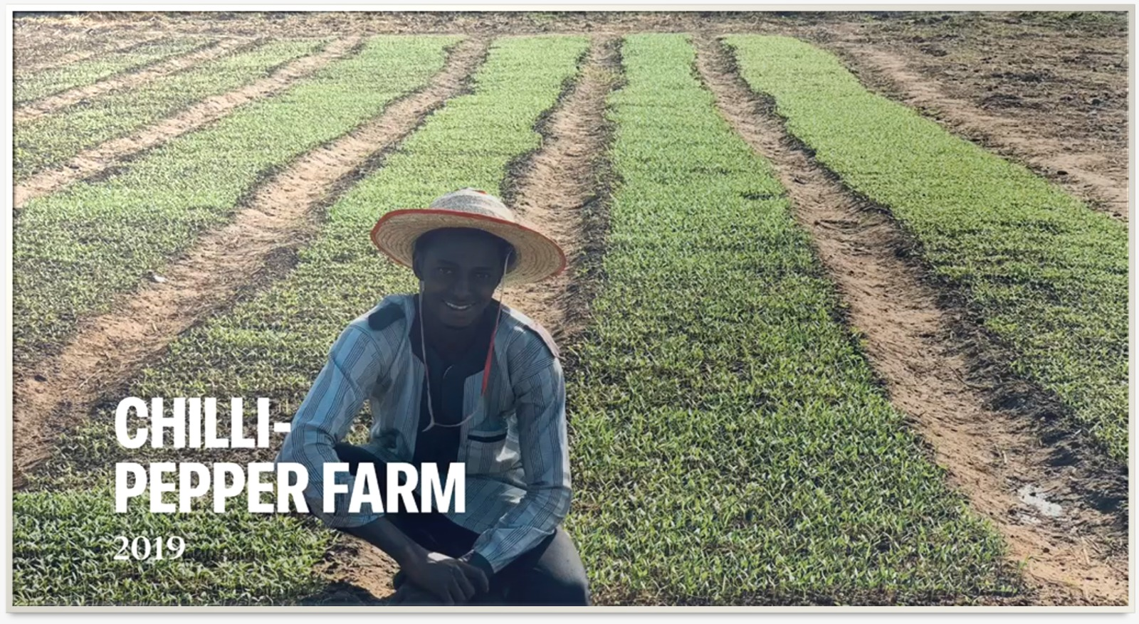 Goodearth peppe on its journey from our mill to Nigerian market stalls